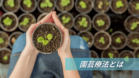 園芸療法とは