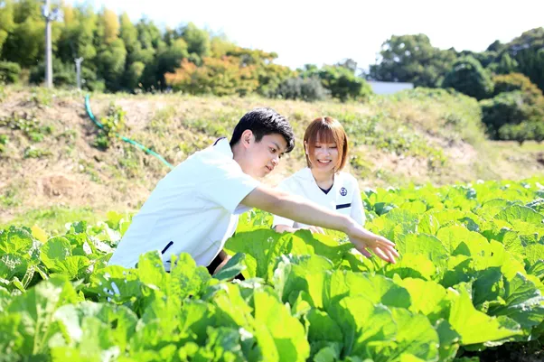 作業療法士を目指す学生が園芸療法を学んでいる様子