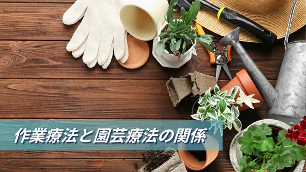 作業療法と園芸療法の関係