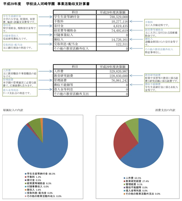 平成29年度事業活動収支計算書